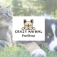App con icona personalizzata per Crazy Animal
